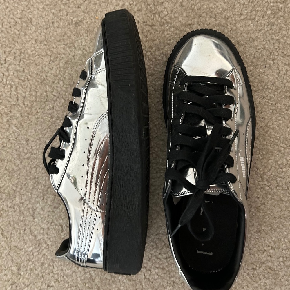 Sliver puma